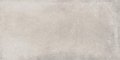 Плитка Dado Ceramica Basic Development Light Grey 42,5 * 85 (303010) Dado Ceramica Для кухні, Для громадських приміщень, Для житлових приміщень, Для вулиці, Для ванної