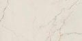 Плитка Dado Ceramica Marmi Pregiati Supreme Calacatta Rettificato 120 * 60 (302852) Dado Ceramica Для кухні, Для громадських приміщень, Для житлових приміщень, Для ванної