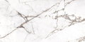 Плитка Sant'agostino Pure Marble Spider White 60 * 120 (CSASP7WH12) Sant'Agostino Для кухні, Для громадських приміщень, Для житлових приміщень, Для ванної