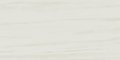 Плитка Atlas Concorde Marvel Stone Bianco Dolomite 30 * 60 (D110) Atlas Concorde Для кухні, Для громадських приміщень, Для житлових приміщень, Для ванної