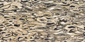 Плитка Imola Ceramica The Room GHEPARD6 12LP 60x120 Для кухни, Для общественных помещений, Для жилых помещений, Для ванной