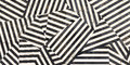 Плитка Imola Ceramica The Room ZEBRA6 12LP 60x120 Для кухни, Для общественных помещений, Для жилых помещений, Для ванной