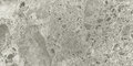 Плитка Ariostea Fragmenta full body Grigio Luminoso Levigato Lucidato 120x60 (PL612618) Для кухни, Для общественных помещений, Для жилых помещений, Для ванной