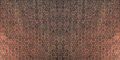Плитка Decoratori Bassanesi Luci di Venezia Rialto Mud 60x120 (RI601M48LDV) Для кухні, Для громадських приміщень, Для житлових приміщень, Для ванної