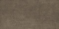 Плитка Decoratori Bassanesi Luci di Venezia Riflesso Mud 60x120 (R601M48LDV) Для кухні, Для громадських приміщень, Для житлових приміщень, Для ванної