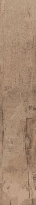Плитка ABK Dolphin Clay 20 * 120 (DPR35100) ABK Для кухні, Для громадських приміщень, Для житлових приміщень, Для ванної
