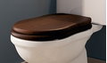 Кришка для унітазу Flaminia Efi soft close, walnut / oro (23N / OR) 