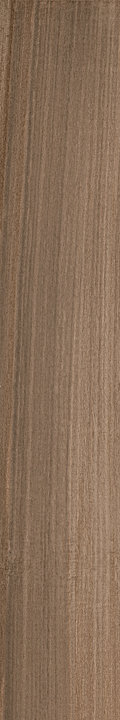 Плитка Imola Ceramica Koala KOALA 2012A RM 20X120 Для кухні, Для громадських приміщень, Для житлових приміщень, Для ванної