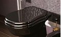 Крышка для унитаза Flaminia Efi soft close, black/cromo (23/CR) 