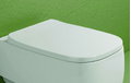 Крышка для унитаза Flaminia Flag soft close, white (FGCW03) 