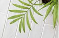 Плитка Wow Briques Handmade Floor White Matt 7*28 (108921) Для кухні, Для громадських приміщень, Для житлових приміщень, Для ванної