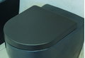 Крышка для унитаза Flaminia Link, black (5051CW03) 