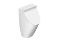 Писсуар Catalano Sfera, bianco satinato (1OR64FBM) Подвесные 
