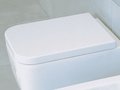 Крышка для унитаза Flaminia Terra, white (TRCW03) 