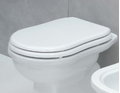 Крышка для унитаза Flaminia Efi, white/oro (23/O) 