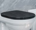 Крышка для унитаза черная Catalano Canova Royal soft close (5SSSTFNE) 