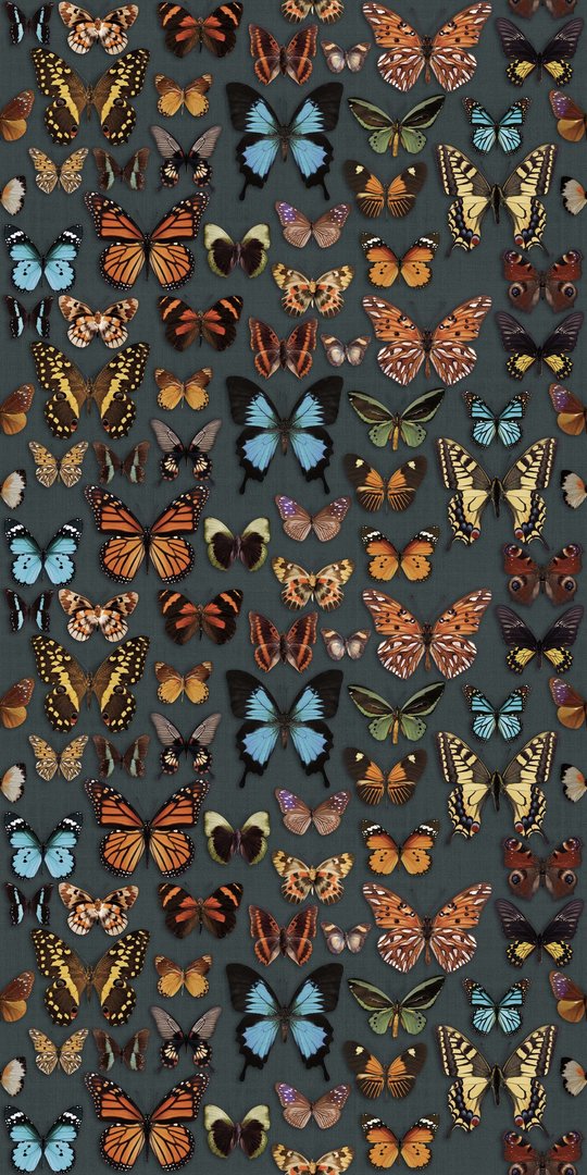 Плитка Abk Wide&Style Papillon Digit 60*120 (0003735) Для кухни, Для общественных помещений, Для жилых помещений, Для ванной