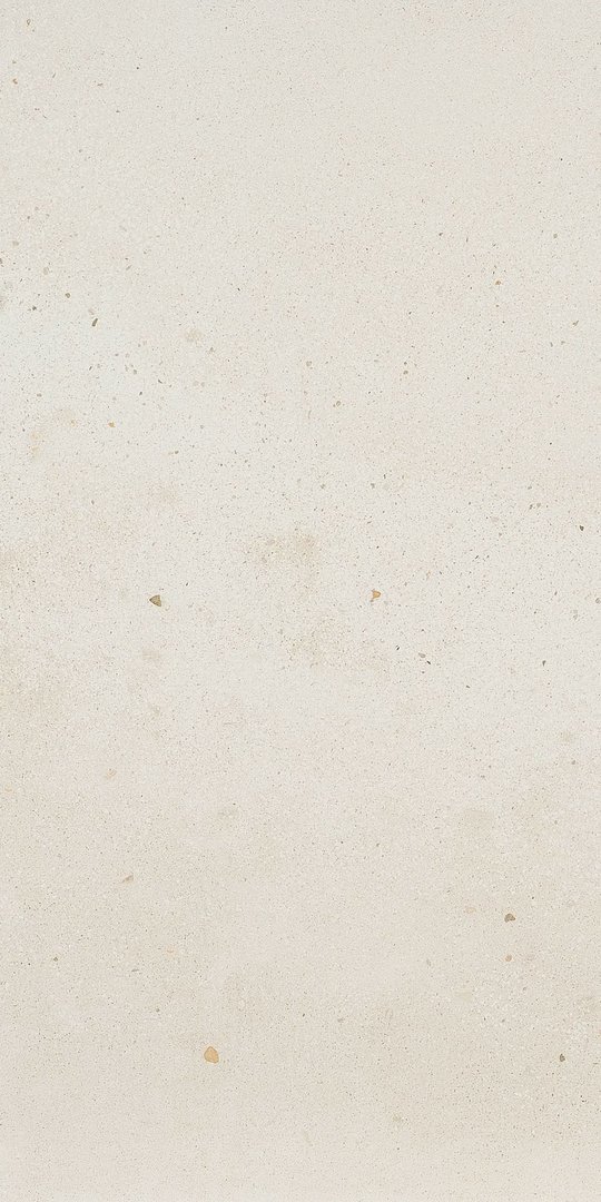 Плитка Fioranese I Cocci Calce 60 * 120 (IC621R) Для кухні, Для громадських приміщень, Для житлових приміщень, Для ванної