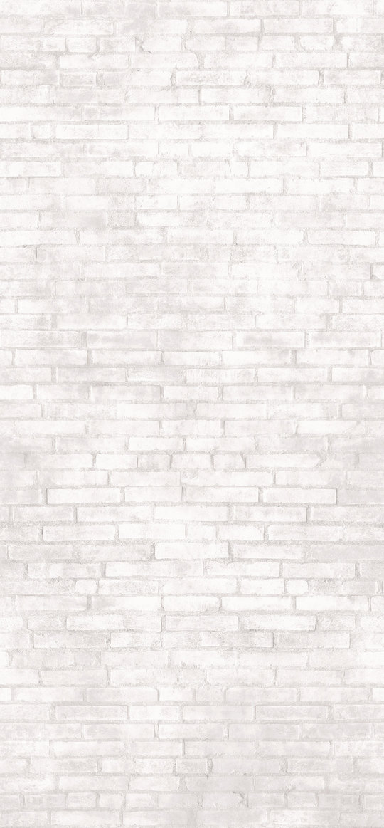 Плитка Imola Ceramica Tube BRICKLANE 260 120x260 Для кухни, Для общественных помещений, Для жилых помещений, Для ванной