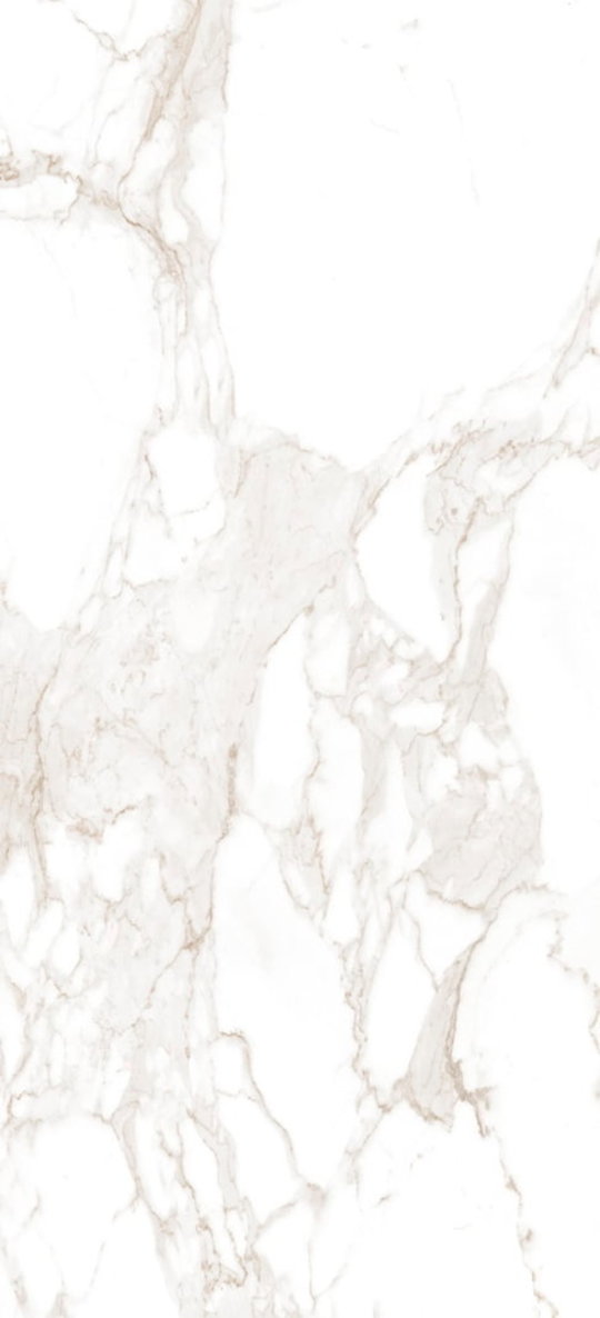 Плитка Fap Roma Calacatta Ret 50*110 (fLY3) FAP Ceramiche Для кухни, Для общественных помещений, Для жилых помещений, Для ванной