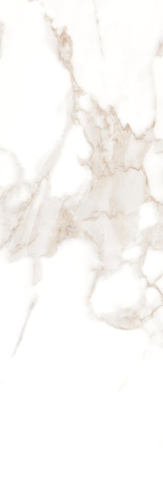 Плитка Fap Roma 25 Calacatta 25 * 75 (fLSN) FAP Ceramiche Для кухні, Для громадських приміщень, Для житлових приміщень, Для ванної