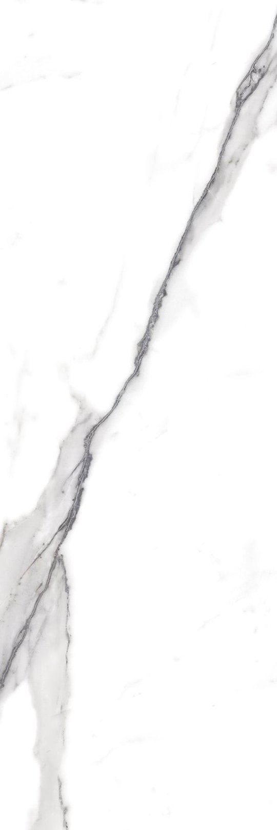 Плитка Fap Roma 25 Statuario 25 * 75 (fLSR) FAP Ceramiche Для кухні, Для громадських приміщень, Для житлових приміщень, Для ванної