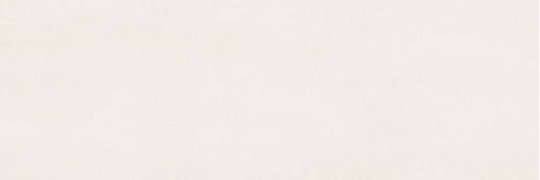 Плитка Sant'agostino Decorline Decorwall White 25 * 75 (CSADWLIG00) Sant'Agostino Для кухні, Для громадських приміщень, Для житлових приміщень, Для ванної