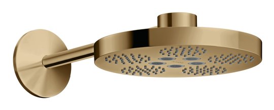 Верхний душ Axor One 280 мм 2jet, Polished Bronze (48492130) Верхние души Бронза