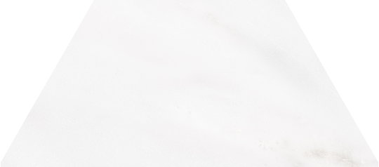 Плитка Wow 60° Trapezium Calacatta 10*23 (120280) Для кухні, Для громадських приміщень, Для житлових приміщень, Для ванної