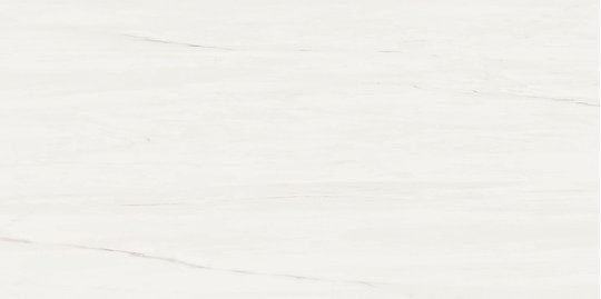 Плитка Atlas Concorde Marvel Stone Bianco Dolomite 40*80 (9MSB) Atlas Concorde Для кухни, Для общественных помещений, Для жилых помещений, Для ванной