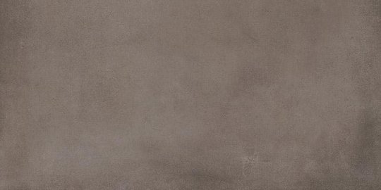 Плитка Dado Ceramica Basic Development Fume 31*62 (303012) Dado Ceramica Для кухні, Для громадських приміщень, Для житлових приміщень, Для вулиці, Для ванної