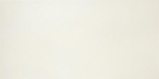 Плитка Dado Ceramica Cementi White Rettificato 30*60 (302601) Dado Ceramica Для кухни, Для общественных помещений, Для жилых помещений, Для ванной