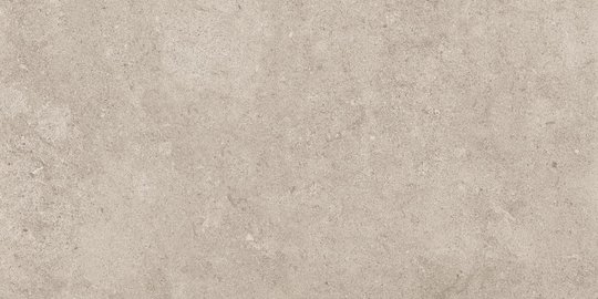 Плитка Sant'agostino Highstone Greige 60 * 120 (CSAHS7GR12) Sant'Agostino Для кухні, Для громадських приміщень, Для житлових приміщень, Для вулиці, Для ванної