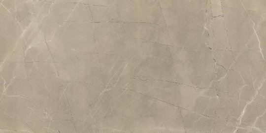 Плитка Piemme Valentino Elegance Via della Spiga Lev / Ret 60 * 119.5 (03047) Для кухні, Для громадських приміщень, Для житлових приміщень, Для ванної