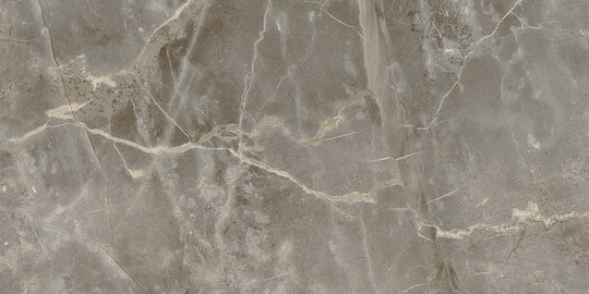 Плитка Fondovalle Infinito 2.0 Fior di Bosco Glossy 60 * 120 (INF827) Для кухні, Для громадських приміщень, Для житлових приміщень, Для ванної