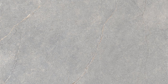 Плитка Lea Ceramiche Anthology 04 Gray Worn 60 * 120 (LGXAL40) Lea Ceramiche Для кухні, Для громадських приміщень, Для житлових приміщень, Для ванної