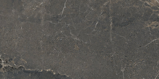 Плитка Lea Ceramiche Anthology L2 05 Dark Rough 60 * 120 (LGXALL5) Lea Ceramiche Для вулиці