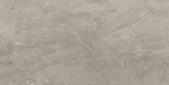 Плитка Piemme Valentino Majestic Supreme Grey Lev/Ret 60*119,5 (02579) Для кухни, Для общественных помещений, Для жилых помещений, Для ванной