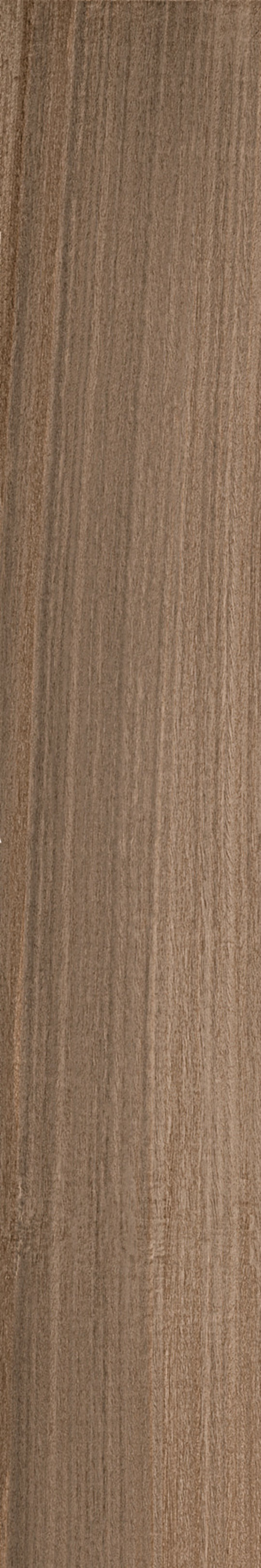Плитка Imola Ceramica Koala KOALA 2012A RM 20X120 Для кухні, Для громадських приміщень, Для житлових приміщень, Для ванної