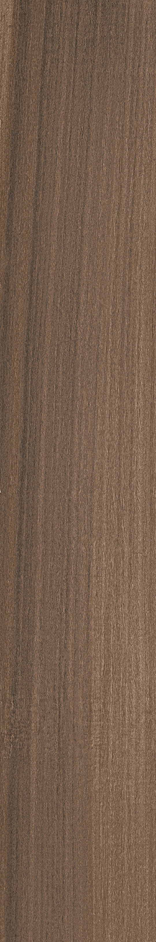 Плитка Imola Ceramica Koala KOALA 2012B RM 20X120 Для кухні, Для громадських приміщень, Для житлових приміщень, Для ванної