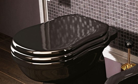 Крышка для унитаза Flaminia Efi, black/cromo (23/C) 