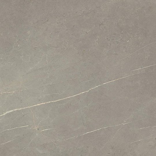 Плитка Dado Ceramica Marmi Pregiati Supreme Grey Lappato Rettificato 59*59 (303029) Dado Ceramica Для кухни, Для общественных помещений, Для жилых помещений, Для ванной