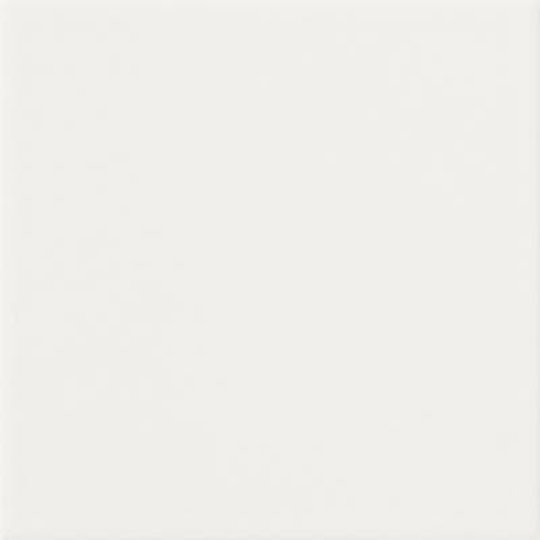 Плитка Dado Ceramica Unicolor Bianco Matt 20 * 20 (302789) Dado Ceramica Для кухні, Для громадських приміщень, Для житлових приміщень, Для промислових приміщень, Для технічних зон, Для ванної