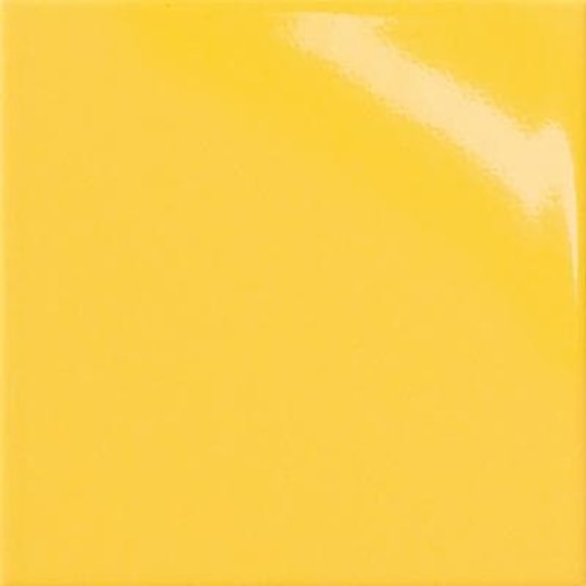 Плитка Dado Ceramica Unicolor Giallo Lux 20*20 (302801) Dado Ceramica Для кухні, Для громадських приміщень, Для житлових приміщень, Для промислових приміщень, Для технічних зон, Для ванної