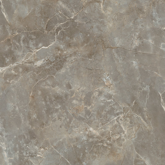 Плитка Fondovalle Infinito 2.0 Fior di Bosco Glossy 120 * 120 (INF546) Для кухні, Для громадських приміщень, Для житлових приміщень, Для ванної