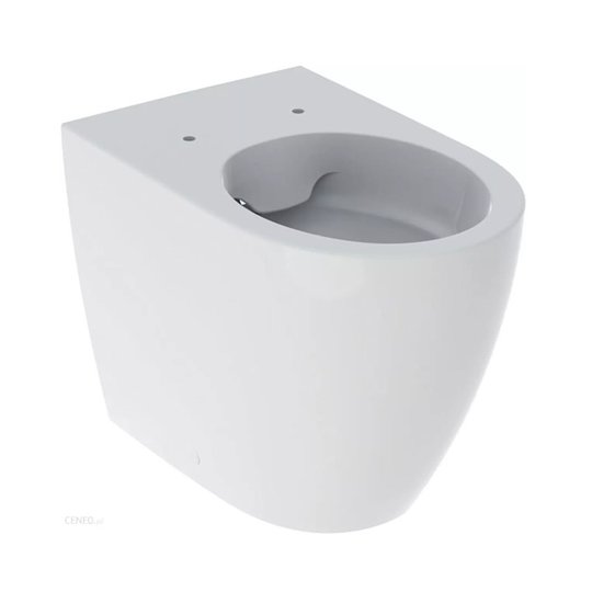 Унитаз напольный безободковый, без бачка, Rimfree, без крышки Geberit iCon, белый (502.382.00.1) Напольные 