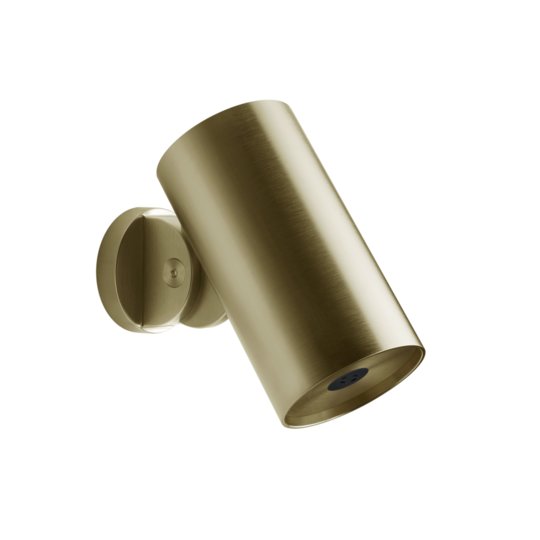 Душевая лейка Ø79 мм распыление Gessi Gessi316 Flessa, Brass Brushed PVD (57205-727) Верхние души Матовая латунь PVD