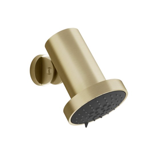 Душова лійка дощ Gessi Gessi316 Flessa, Brass Brushed PVD (57249-727) Верхні душі Матовая латунь PVD