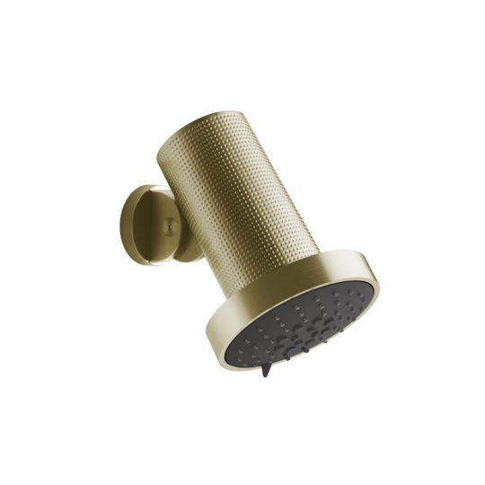 Душова лійка дощ/розпорошення/масаж Gessi Gessi316 Cesello, Brass Brushed PVD (57255-727) Верхні душі Матовая латунь PVD