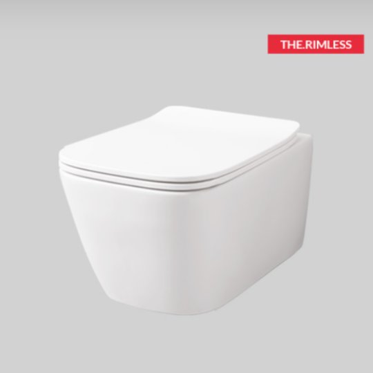 Підвісний безободковий унітаз Artceram A16, Matte white (ASV003 05; 00) Підвісні 